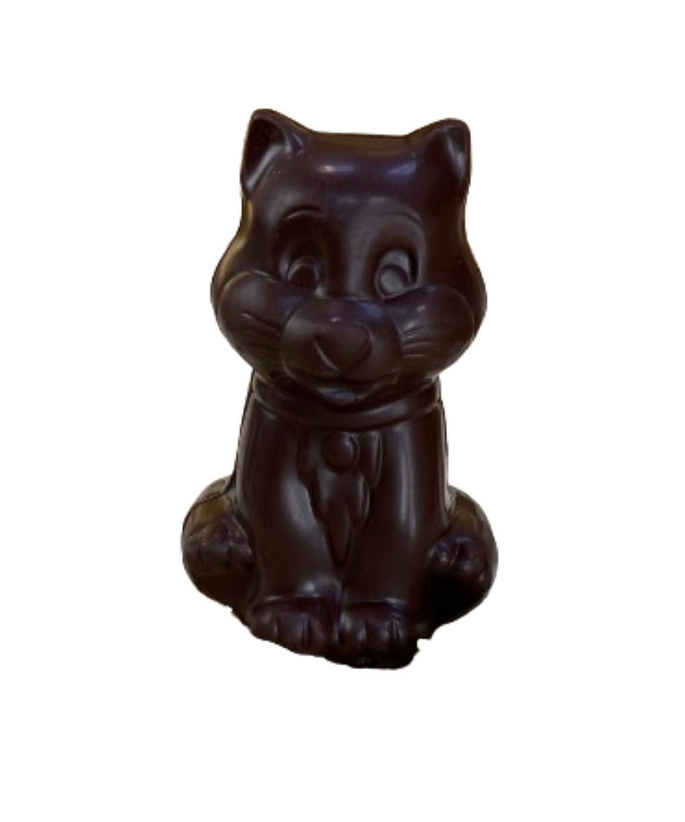 Dark chocolate Cat