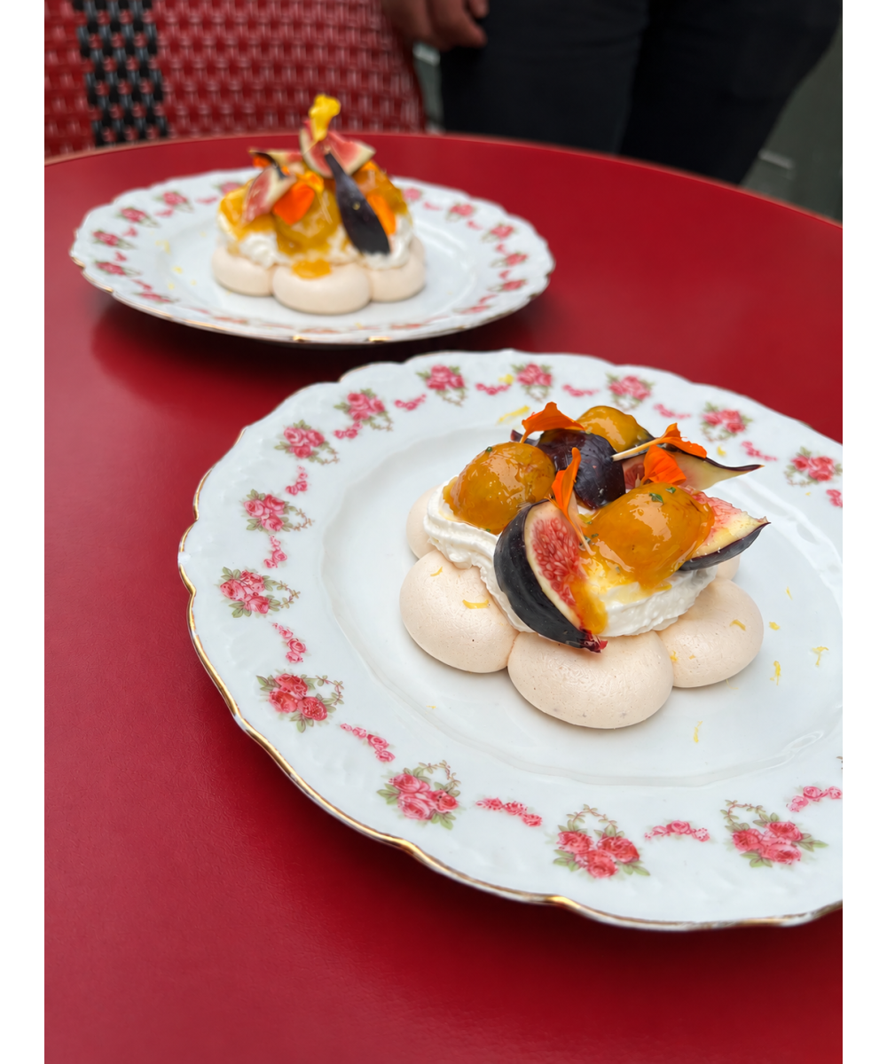 copy of Pavlova Violette